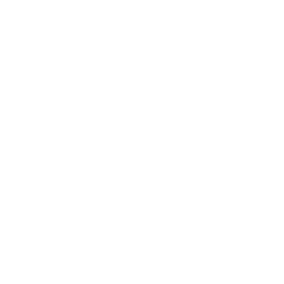 Eleven v4 icon