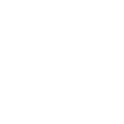 FLUX 3 icon