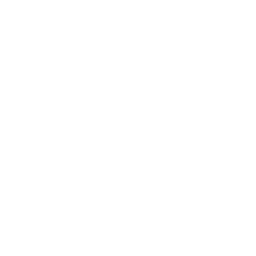 Grok Imagine icon