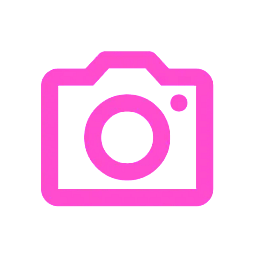 Use Camera Language