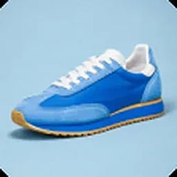 Reference photo of the blue sneaker