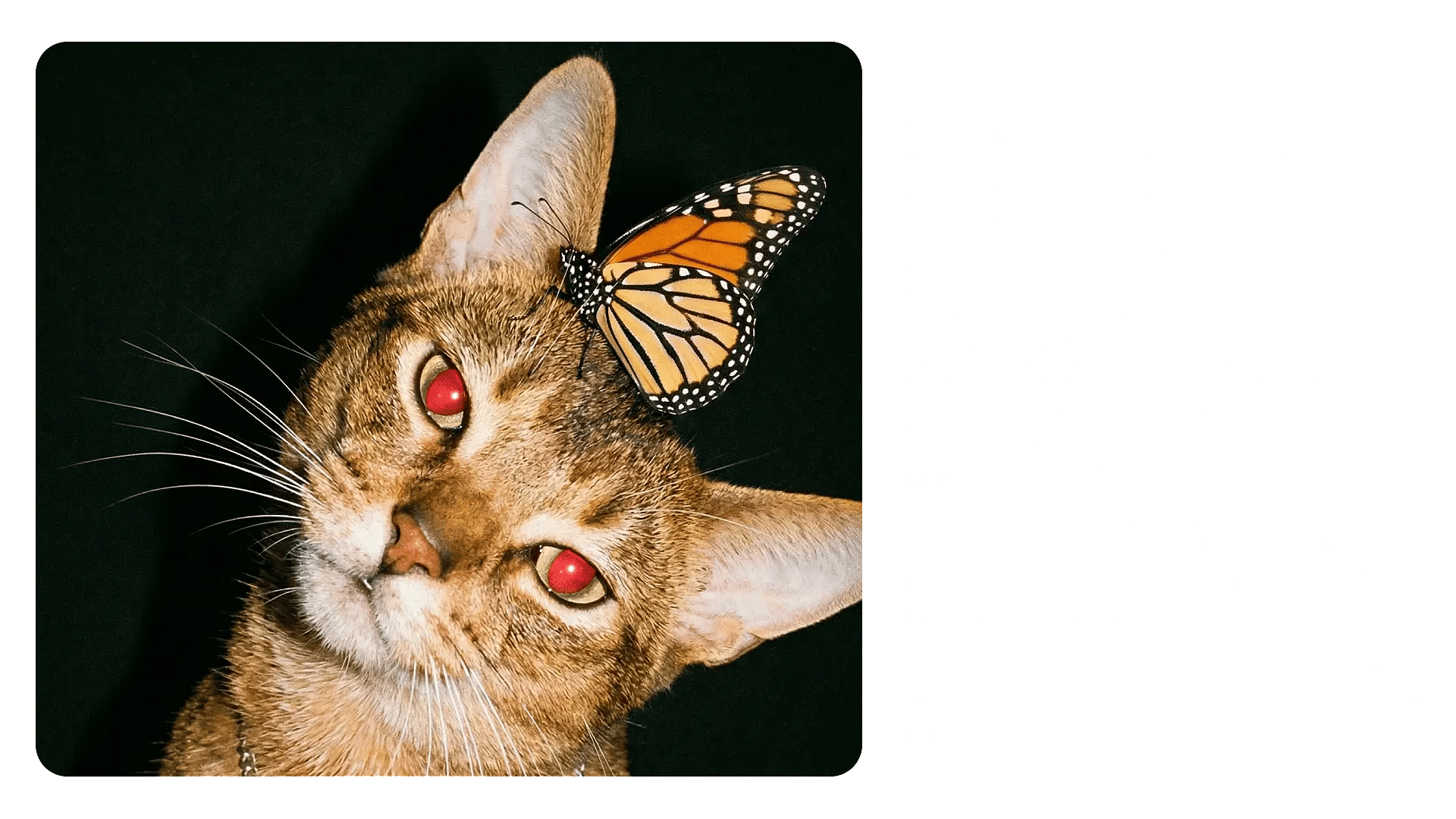 Generated prompt preview