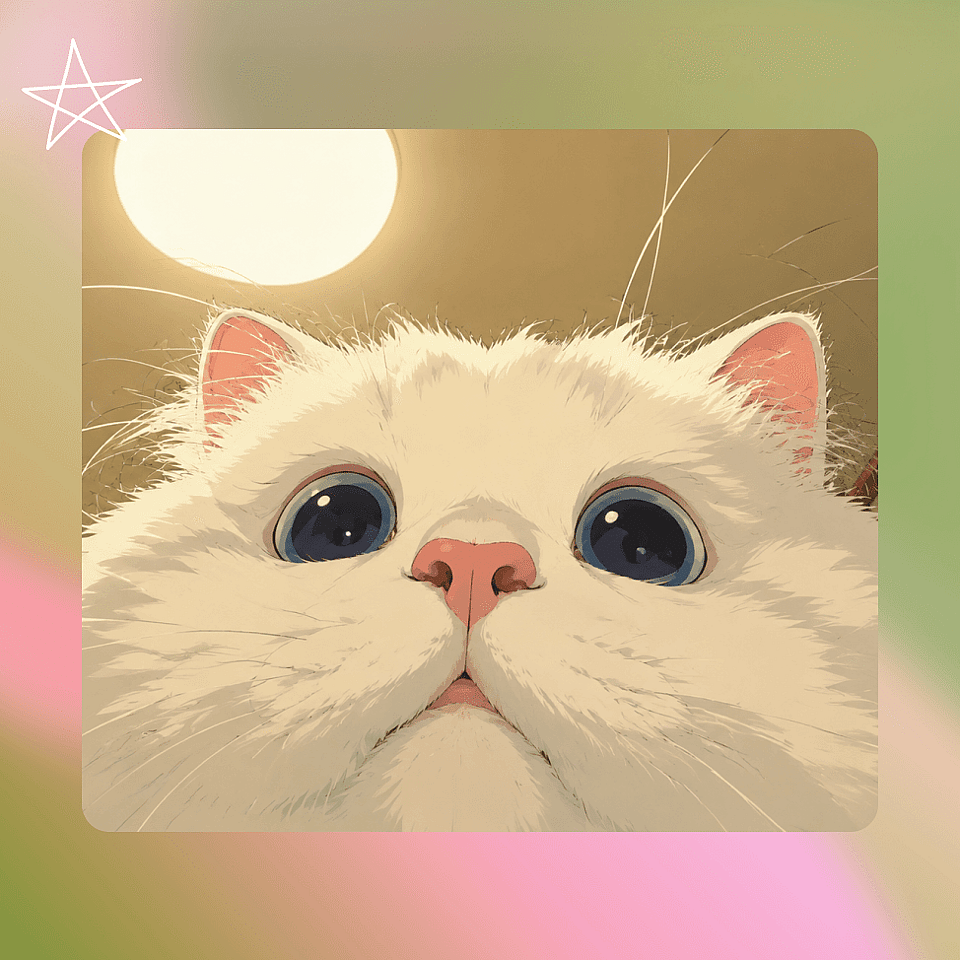 Create and Download