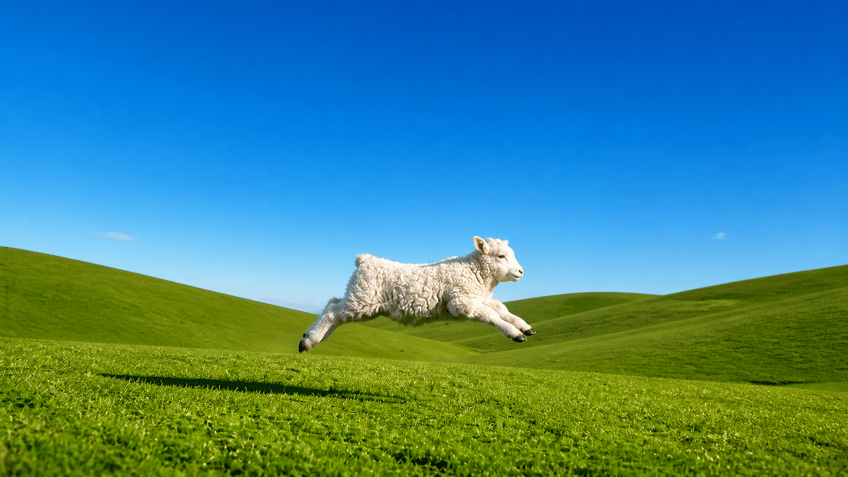 Travel Photos Turned Into Nature Wallpapers