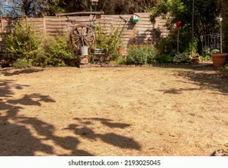 Prompt: A 10-second ultra-photorealistic slow and smoth timelapse video showing the transformation of a neglected backyard into a beautifully landscaped garden slowly and in order.

The scene start frame begins with a dry, patchy lawn, dirt areas, scattered debris, and no plants — a lifeless and uncared-for yard, then the changes starts with the construccion of the cavana, then you see how the grass starts to grow and the intalation of mampara, plants and furniture.  As the video progresses slowly form the start fram to de end frame you notices slowly the change, the transformation happens gradually and smoothly: the grass turns green and lush, flower beds appear, colorful plants and bushes grow, a stone path is laid, and trees or decorative elements are added.

The final frame shows a fully renovated, vibrant garden filled with rich greenery, blooming flowers, and a well-maintained layout.

The lighting stays natural throughout — soft daylight with realistic shadows and smooth transitions. The entire transformation looks 100% real, like a real-time documentary timelapse. Emphasis on realism, detail, and organic change over time