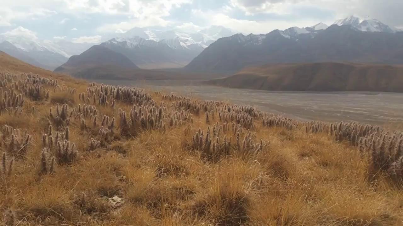 Prompt: ChatGPT zei:

From the perspective of a backpacker, we see him walking across a spectacular high plateau in the Himalayas. He walks from right to left in the direction of the monastery. He follows a rough trail, crosses fast-flowing streams, and then climbs a mountain toward the ruins of an ancient Tibetan monastery high above him. We see his arms — in one hand he holds a rough wooden stick — and as he climbs, we catch glimpses of his knees and hiking boots. The sky is lightly clouded, with rays of sunlight breaking through. The monastery grows closer and closer.