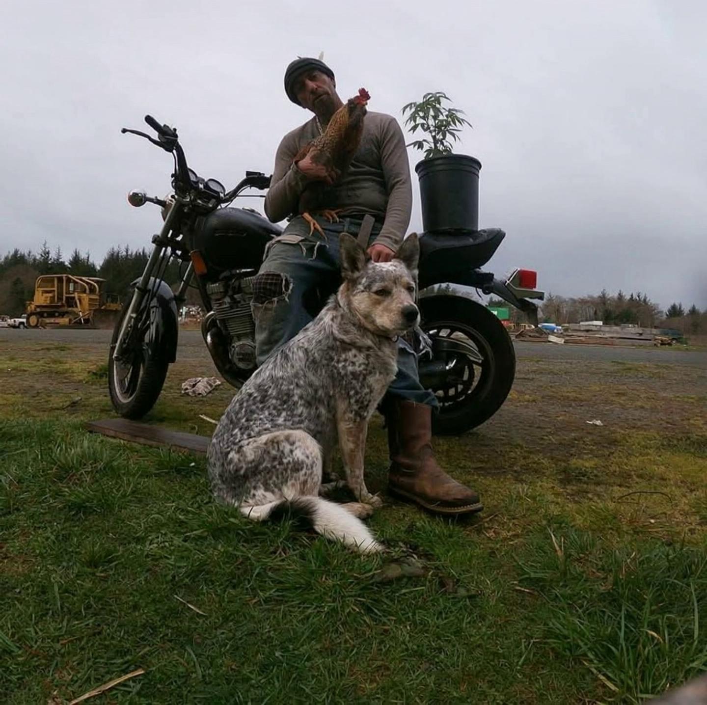 Prompt: Man and the dog hop on a futuristc motorcyle and ride though a enchanted cannabis rainforest with waterfalls  and monkey swinging on huge cannabis palants as big as redwood  trees with parrots fying happily over  rhw  cannabis trees to there treehouse in the cannabis plants with  records playing on turntables  and speakers in a forest rave with monkeys dancing silly.