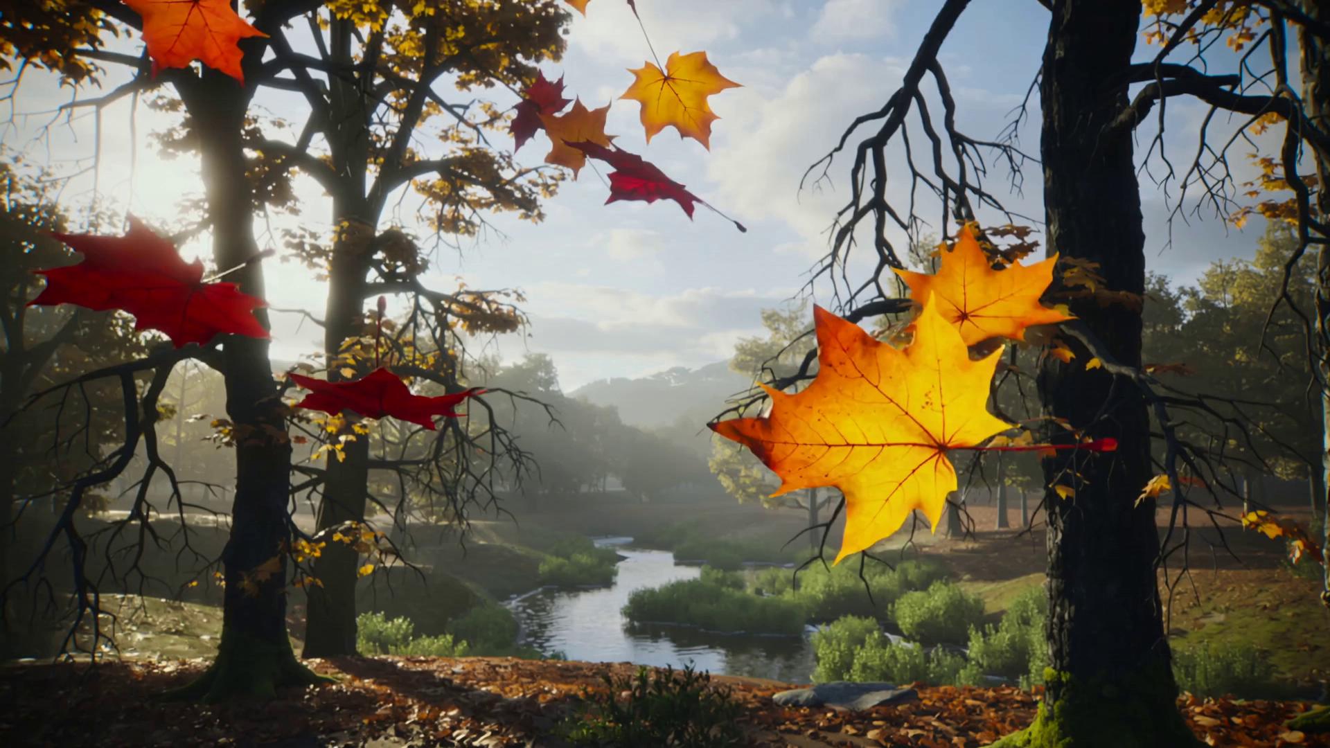 Prompt: Create a vivid description of autumn leaves falling slowly in a quiet forest