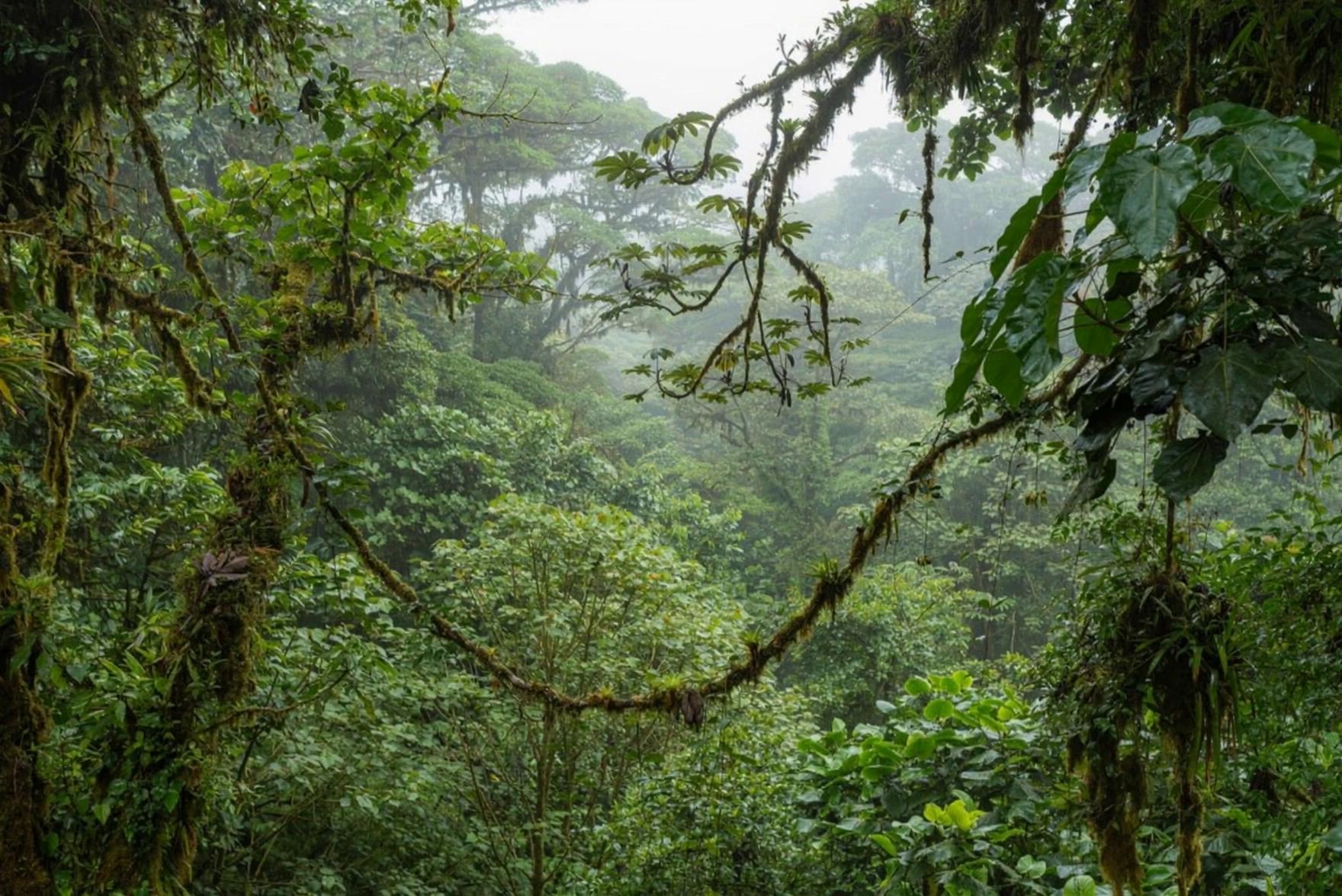 Prompt: give a flying drone visual on slow motion and moving forward