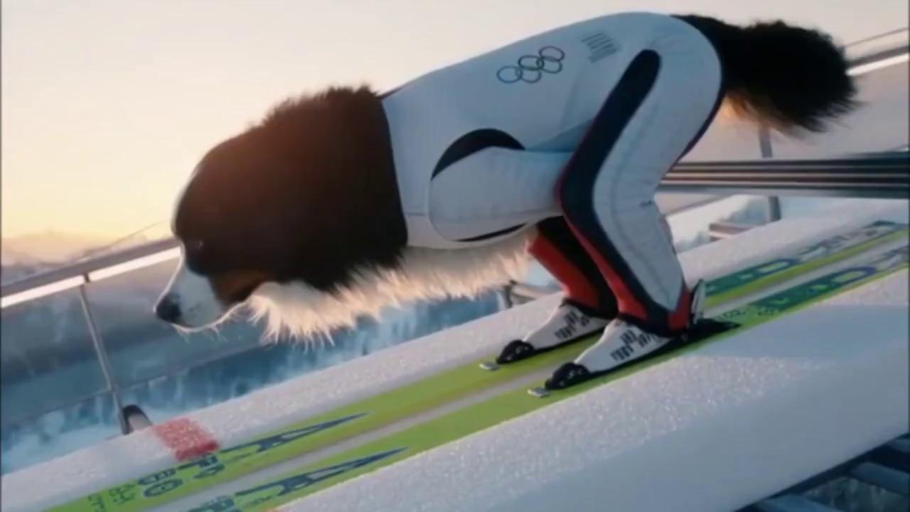 Prompt: Ultra-realistic cinematic video of a Bernese Mountain Dog athlete wearing professional ski-jumping skis and custom-fitted Olympic gear, competing in the Winter Olympic Games.
The dog stands at the top of an Olympic ski jump ramp, skis securely attached to his paws, body low and perfectly aligned, intense focus in his eyes, breath visible in the cold air.
Wind moves his thick tricolor fur (black, white, and brown) under golden morning light.
He accelerates down the ramp with power and control. Epic slow motion at takeoff: skis leaving the ramp cleanly, paws steady, fur flowing dynamically.
Wide aerial shot as the Bernese Mountain Dog flies smoothly above the Olympic stadium, skis perfectly parallel, snowy mountains in the background, roaring crowd below.
Smooth cinematic drone camera, realistic physics, natural motion, deep depth of field.
Perfect landing: skis touch down flawlessly, balanced and controlled, textbook ski-jump landing.
The crowd explodes in celebration, flags waving, epic Olympic sports atmosphere.
Natural lighting, ultra-detailed textures, cinematic sports film style, dramatic realism, 4K quality.