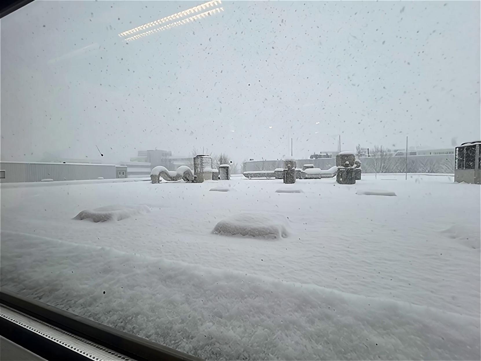 Prompt: Let a polar beer walk on the snow on the roof.