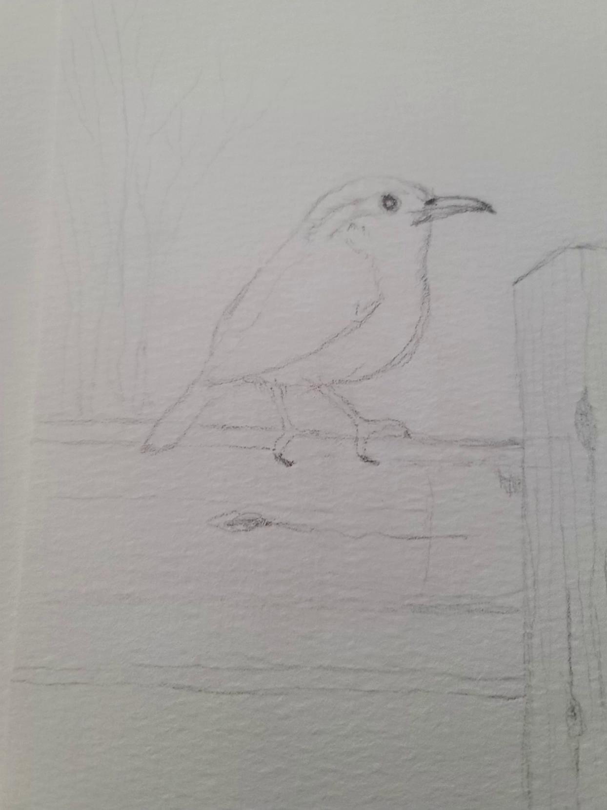 Prompt: Have the wring preen and look around