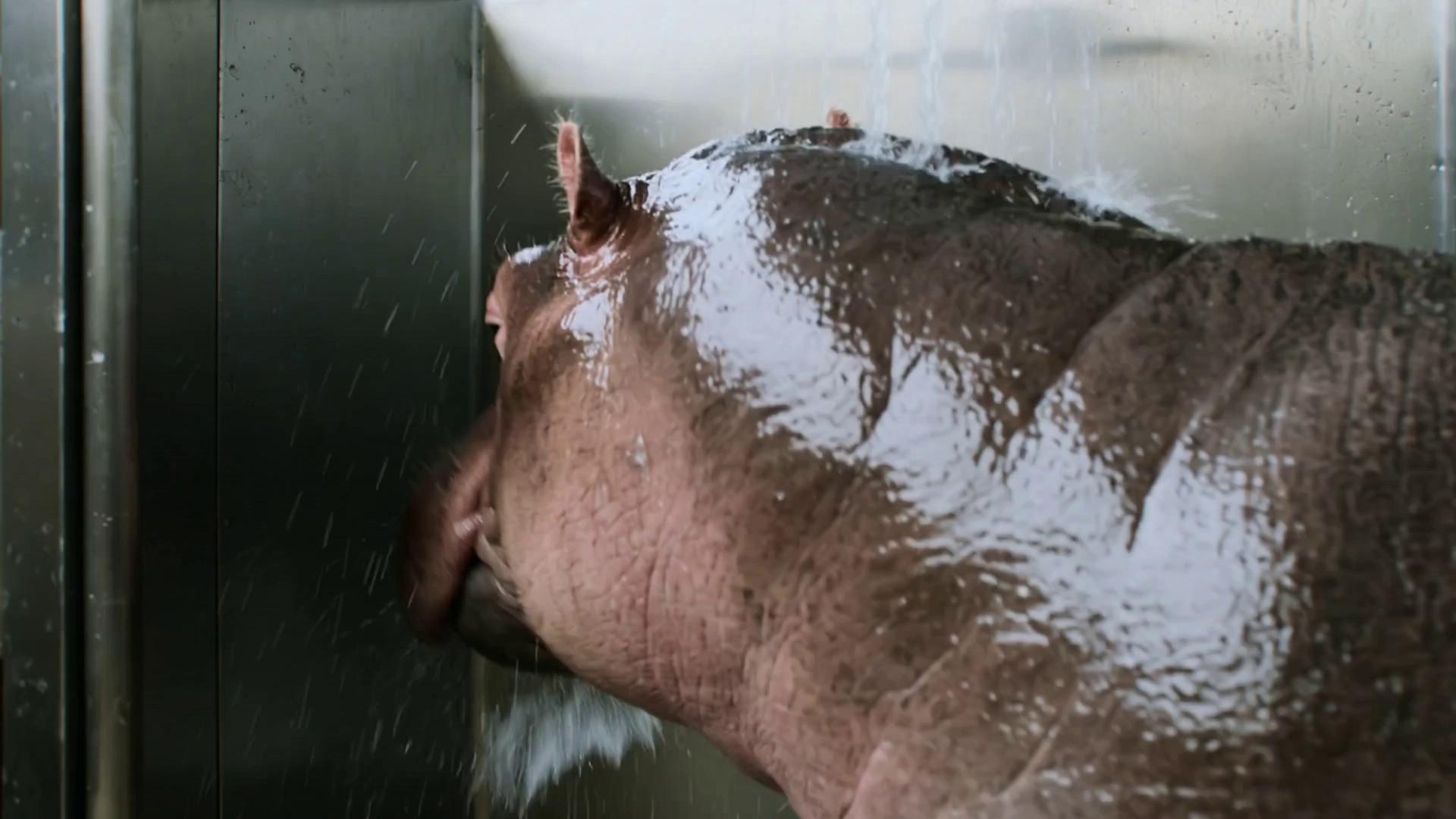 Prompt: a hippo in a shower cleaning oneself. and a train comes into action. The hippo rides on the train
