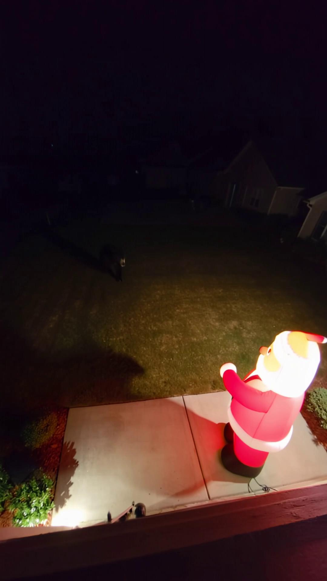 Prompt: Night time security camera looking at front porch and yard. Bear walks up to Christmas Santa inflatable and inflatable jumps at Bear, Bear falls over gets up fast and runs away. 