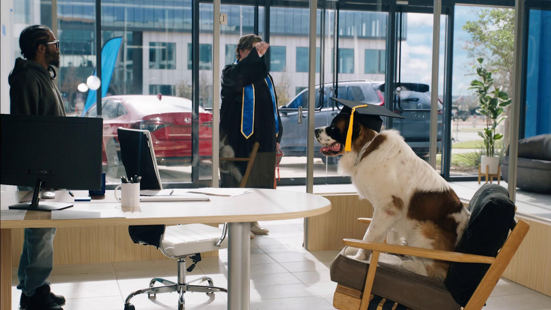 Prompt: Add a graduation cap with a yellow tassel to the dog in this video. The cap should sit naturally on top of the dog's head, as if the dog is wearing it. The tassel should hang down on the camera-facing side and move naturally with any motion in the clip.Critical preservation rules:— Do NOT alter the dog's face, fur, eyes, ears, snout, or any facial features in any way— Do NOT change the camera angle, framing, lighting, or background— Do NOT reposition, resize, or stylize the dog— Do NOT add any other elements, filters, or effects— Preserve the original video's color grading, grain, and texture exactly. The graduation cap should match the style shown in the reference image provided. It should appear as a natural, physical object resting on the dog's head — not floating or composited — with realistic shadow and lighting consistent with the existing light source in the video. The cap should track and move with the dog's head if the dog moves.Preserve the original shot completely: same camera angle, lens perspective, framing, lighting, shadows, color, background, and motion.Only change: add the graduation cap.The cap should sit naturally on top of the dog’s head with correct perspective, scale, contact, and head tracking across the shot.The tassel should be yellow, hang naturally, and show subtle secondary motion consistent with the dog’s movement.Match the cap to the scene’s lighting and shadow direction so it feels physically integrated and photorealistic.Do not stylize, beautify, reinterpret, or alter the dog or scene in any way.No face changes, no fur changes, no head-shape changes, no camera changes, no background changes, no re-rendering of the dog.