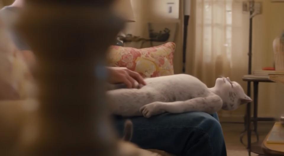 Prompt: Create a scene of a Caucasian young man sitting on his couch. The one foot tall humanoid cat character from these photos is on her back on his lap. He is scratching her belly. She is the size of an actual cat.