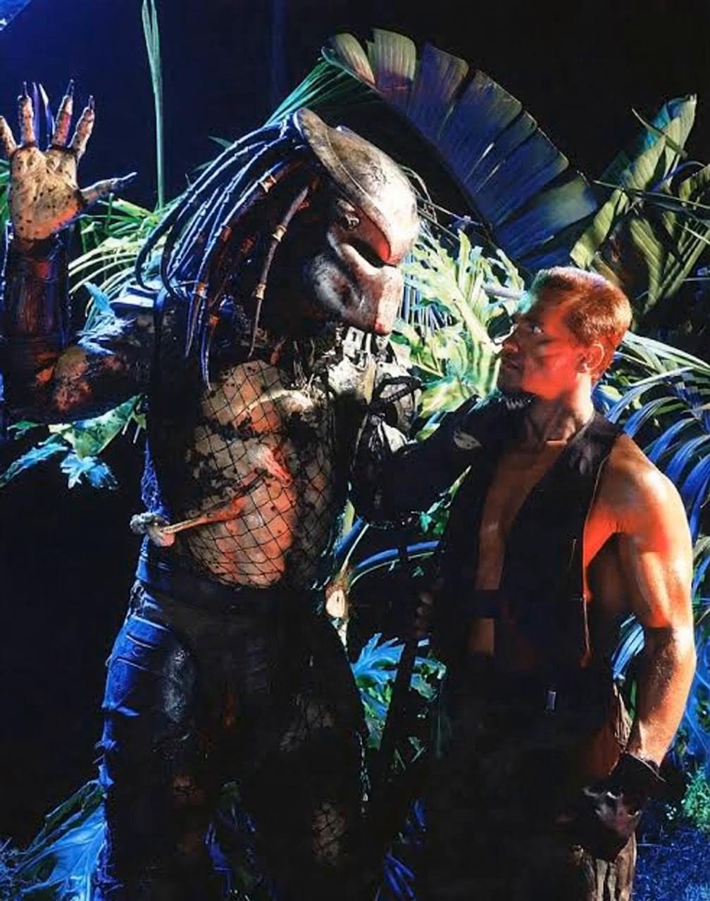 Prompt: Predator punches man in face
