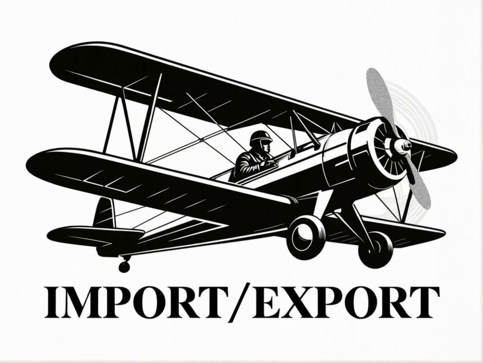 Prompt: The plane takes off and soar across the sky