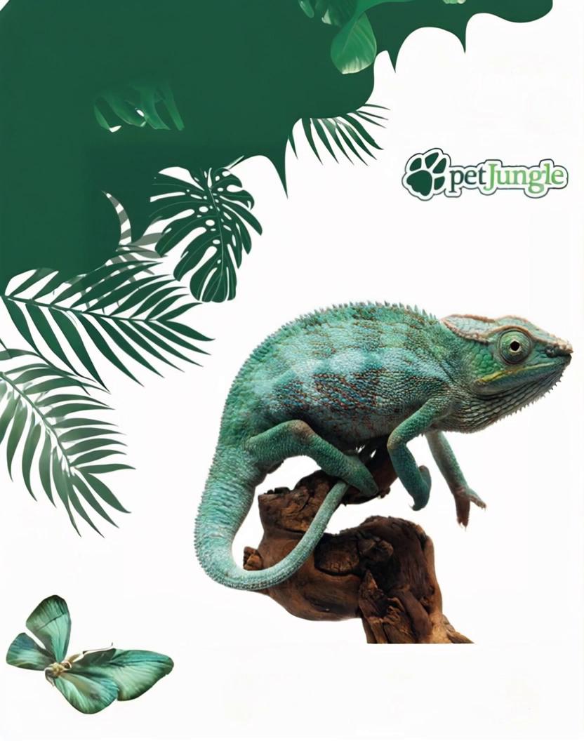 Prompt: iguana sitting, moving its eyes and tail. everything is same as the picture