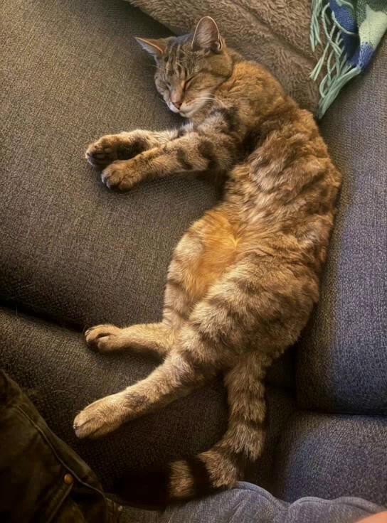 Prompt: Make her wake up and stretch

