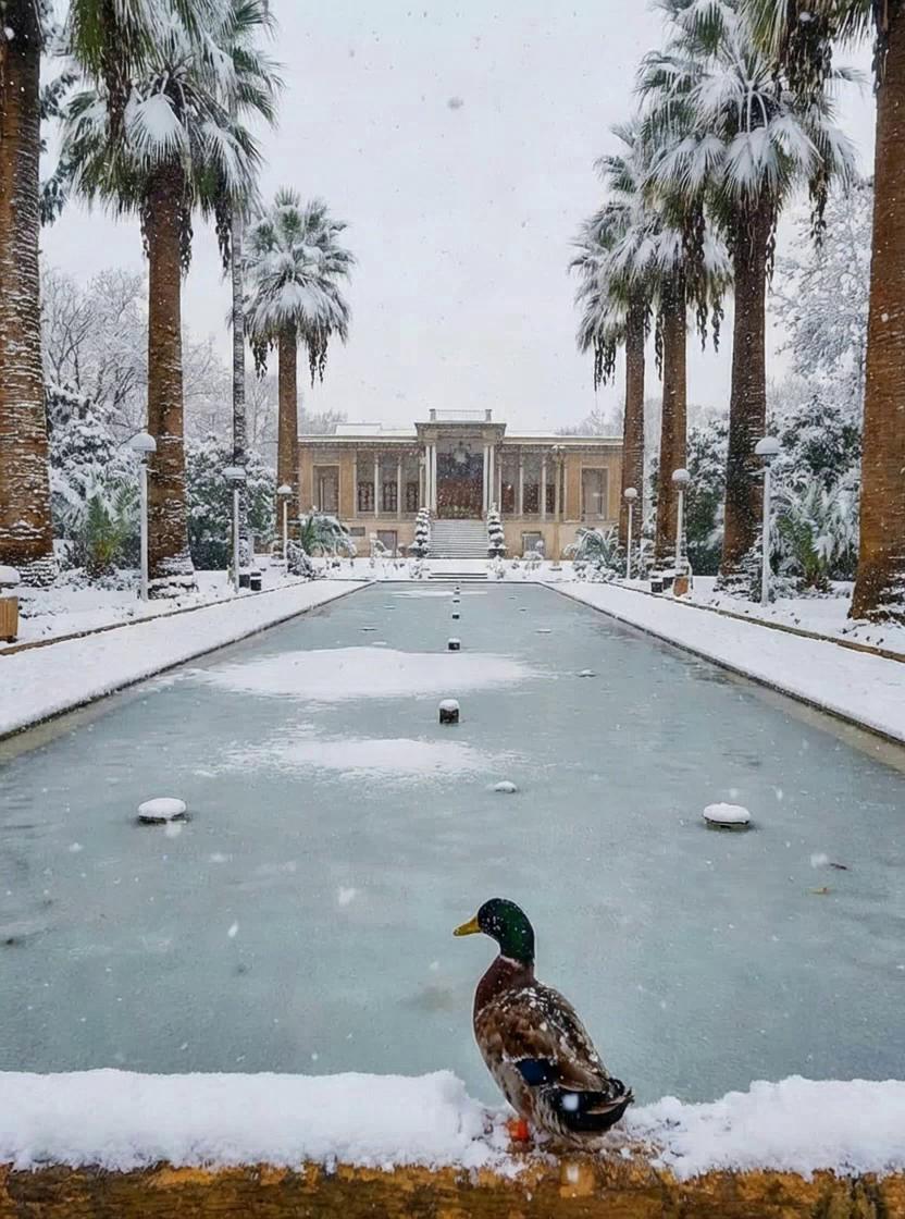 Prompt: Use the provided snowy landscape image as the only visual reference.
Generate a realistic cinematic video where the camera slowly and smoothly moves forward (gentle dolly-in).
Add soft, natural snowfall consistent with the existing scene and lighting.
Maintain the original composition, environment, objects, and perspective of the image.
Do NOT add any new elements, subjects, buildings, trees, people, animals, or objects.
Preserve the exact landscape and atmosphere of the original image.
Motion should be subtle, calm, and stable, with no camera shake or sudden movement.
High realism, natural depth, soft winter light, peaceful mood.  The bird move wings and jump to the pool