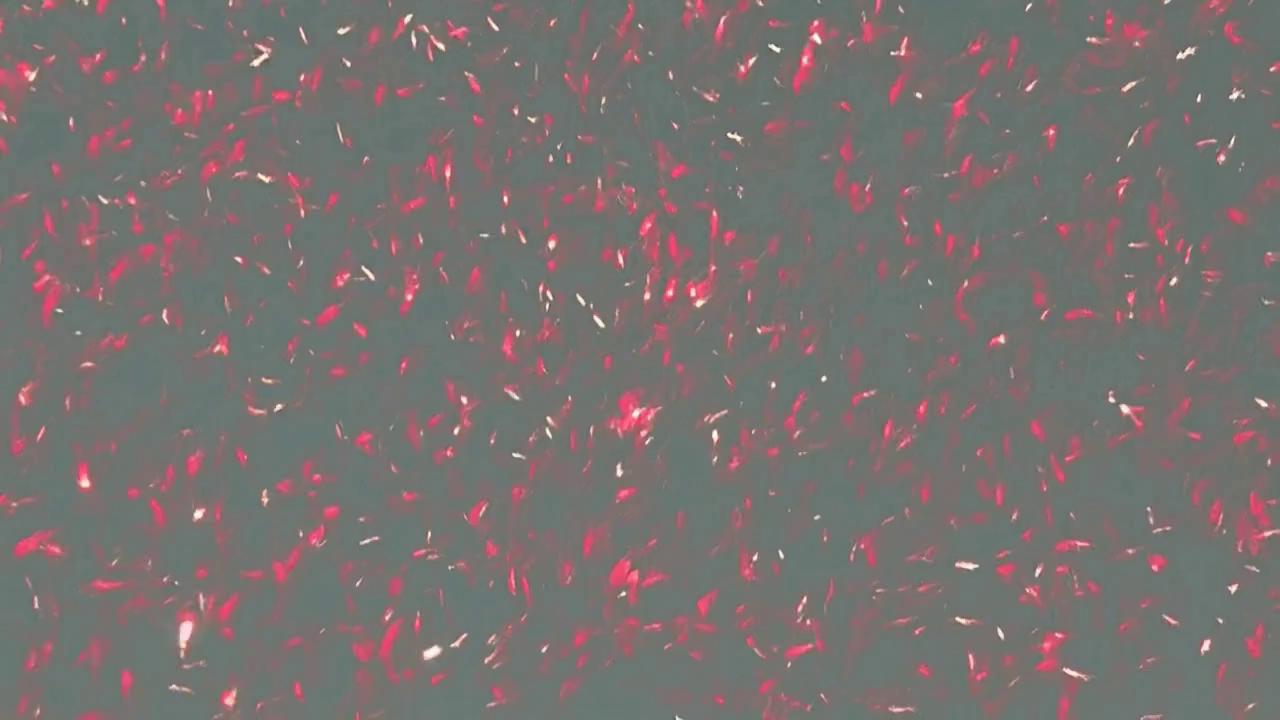Prompt: red fever dream recordering lights in a dark room with music 