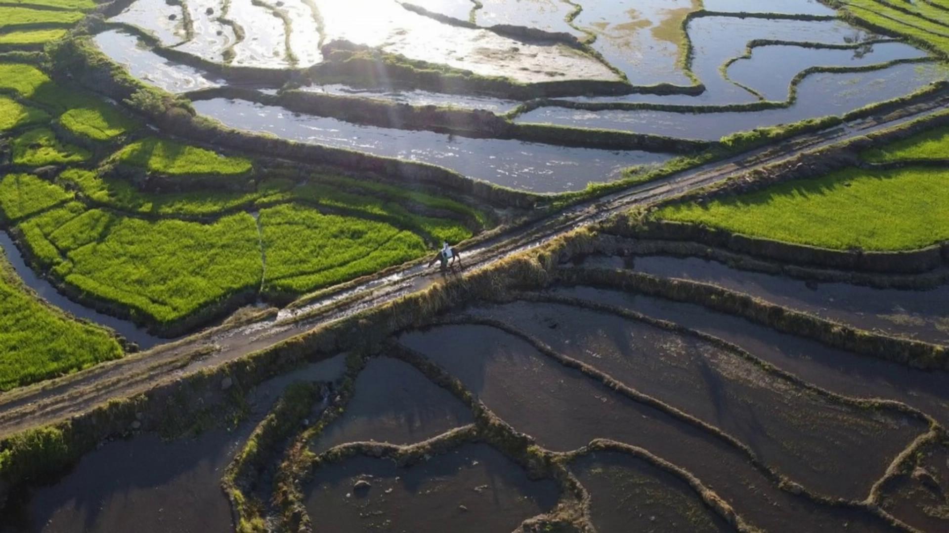 Prompt: make a seamless transition