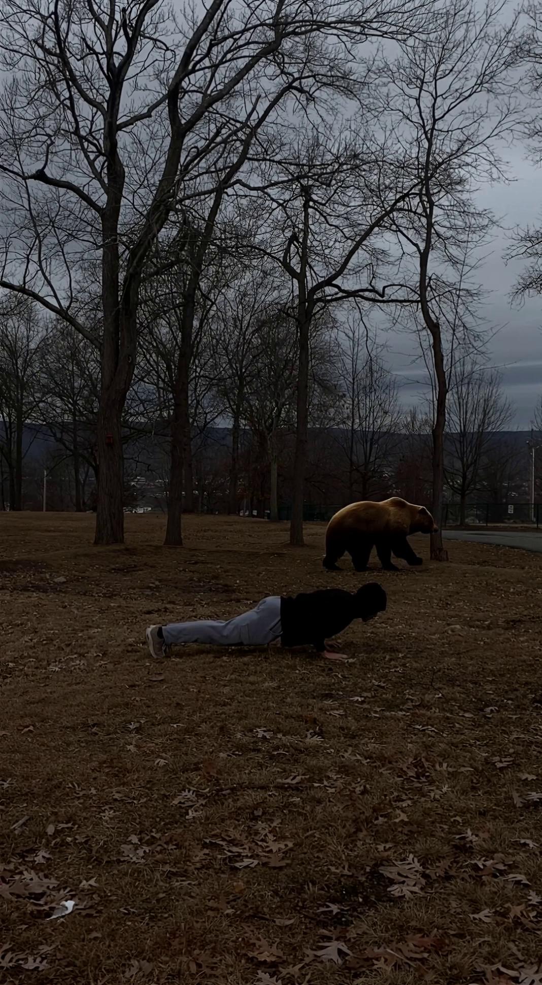 Prompt: add a bear walking and rasping a tree at the back farther away