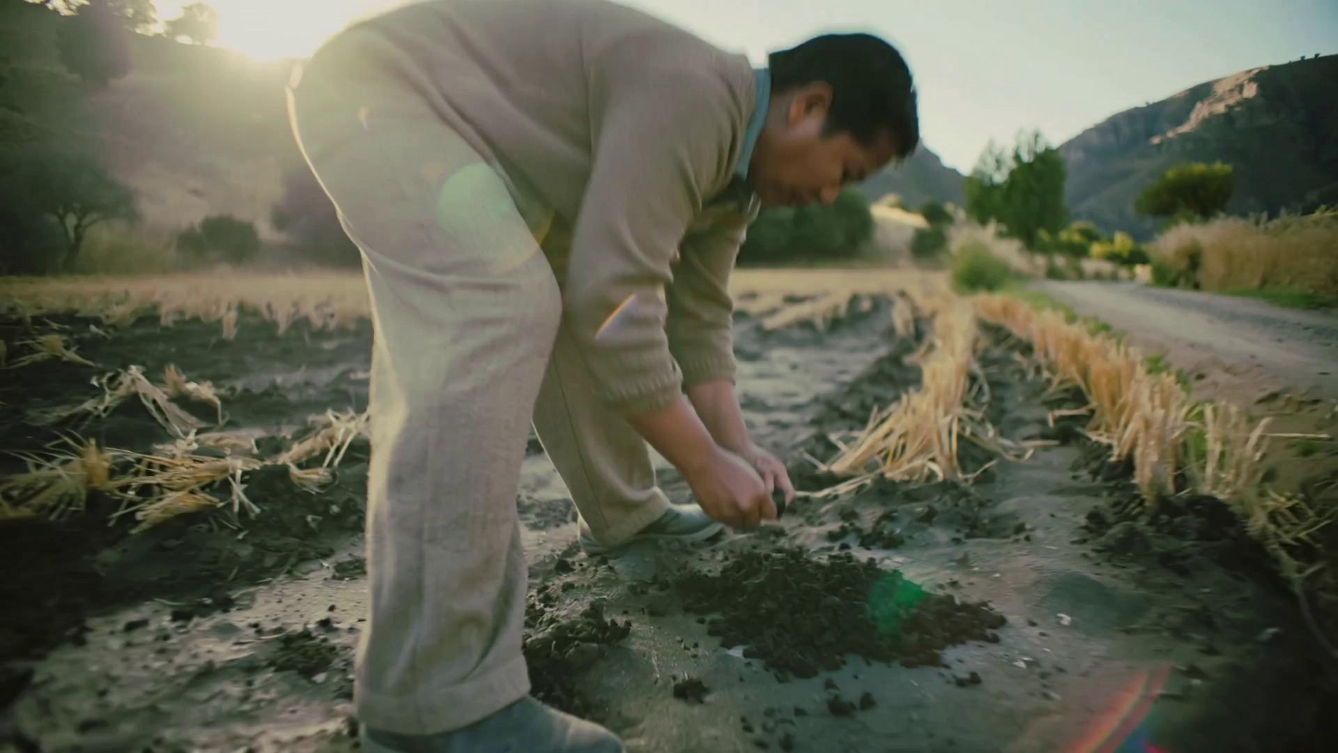 Prompt: Cinematic documentary sequence beginning with isolated individuals facing discrimination and poverty in rural Mexico, single person working field alone, indigenous woman ignored in public office, child walking long dirt road alone, then visual transition showing more people appearing, small groups forming, then larger gatherings, ending in large indigenous assembly speaking together, emotional transformation from isolation to collective voice, natural lighting, realistic documentary style, handheld cinematic movement
