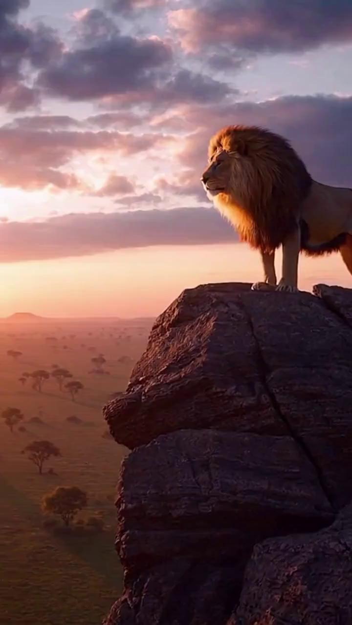 Prompt: A majestic lion standing on a rocky cliff at sunrise, overlooking a vast savannah, symbol of leadership and authority, confident posture, golden sunlight illuminating its mane, cinematic composition, ultra realistic, dramatic sky, inspirational atmosphere, depth of field, 8k detail, motivational text overlay: “Leaders don’t follow paths — they create them.”, elegant bold typography, centered composition