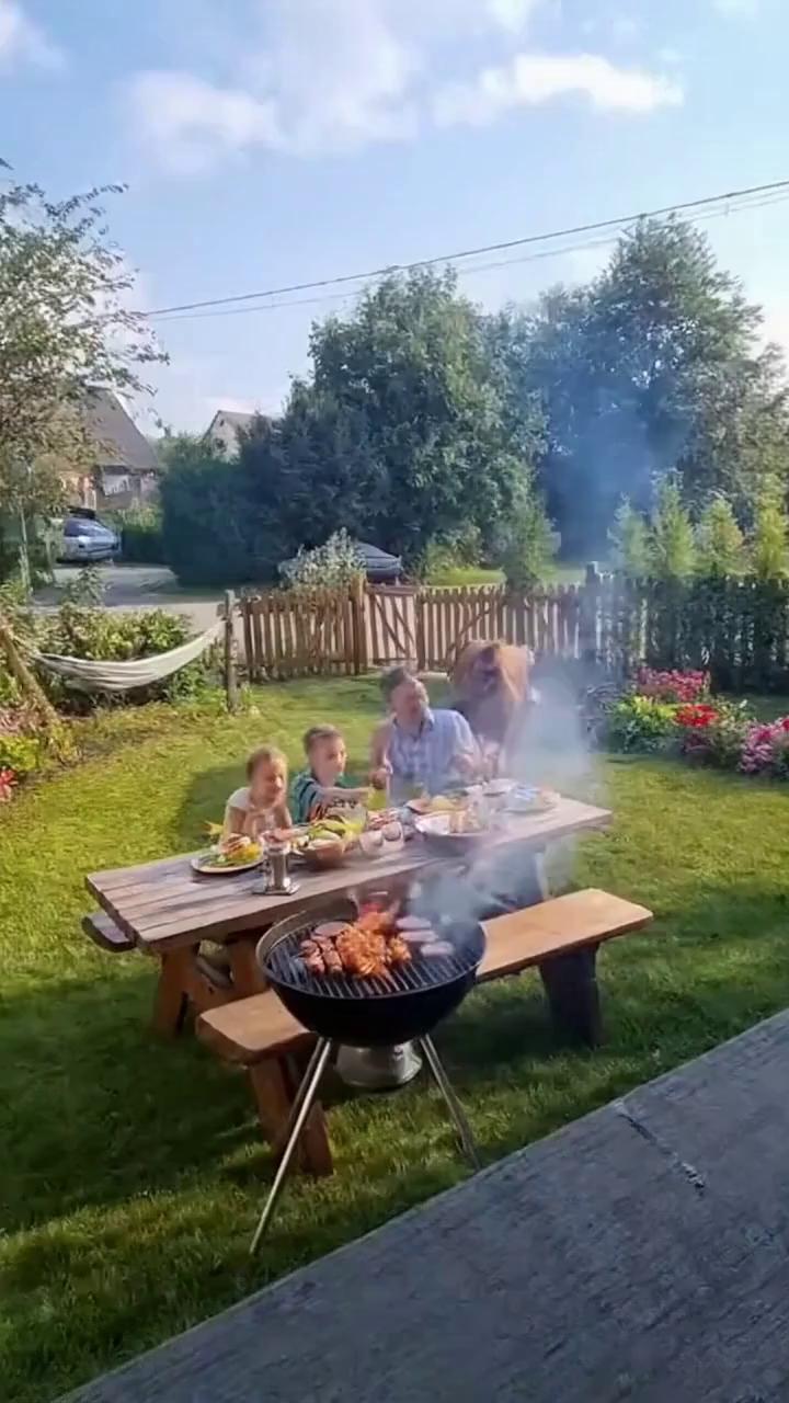 Prompt: A hyperrealistic 12-second video filmed in a Polish suburban backyard during a sunny summer afternoon. A family is sitting around a barbecue grill — a father, mother, and two kids laughing and talking. There's food on the table, smoke from the grill, and birds chirping in the background.

Suddenly, a brown bull or young cow runs through an open garden gate and rushes into the yard. The family quickly jumps up and laughs in surprise, some people run away while others shout playfully. The animal stops near the grill and sniffs it curiously. 

The camera looks like a fixed backyard security camera or a handheld phone recording, with realistic lighting, natural shadows, and authentic outdoor sounds. The tone should be funny and chaotic but safe — a spontaneous, real-life moment caught on video. 

Add natural laughter and someone shouting in Polish: 
"Zamknijcie furtkę, bo znowu sąsiadowi uciekł byk!"
("Close the gate, the neighbor’s bull got out again!")
