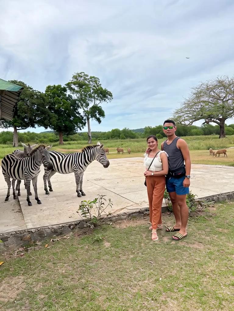 Prompt: Man get chase by the zebra