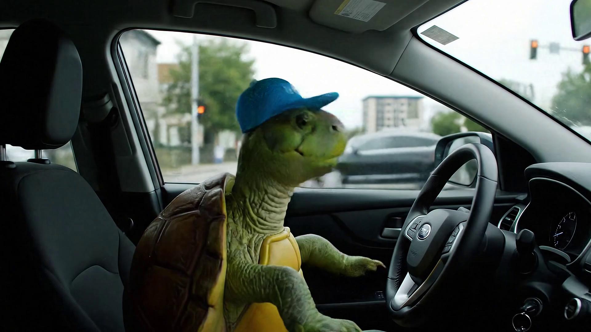 Prompt: [Opening shot – 0:00-0:02]

🎥 Visual: Dashcam-style shot inside an Uber. A TURTLE is in the driver’s seat, wearing a tiny cap, slowly pressing the gas.
🎙️ Passenger (frustrated) (loud, dramatic):

“Bro, I could’ve walked faster!”

[Middle – 0:02-0:06]

🎥 Visual: Side angle — turtle calmly staring ahead, traffic barely moving.
🎙️ Turtle (calm, wise tone):

“Then why’d you call an Uber?”

🎧 Sound: Comedic "boom" or punchline sting

[Final punch – 0:06-0:09]

🎥 Visual: External shot — bumper-to-bumper traffic. Turtle’s foot barely touches the pedal.
🎙️ Passenger (sarcastic, groaning):

“If we stop for lettuce again, I’m out!”

🎙️ Turtle (excited):

“Wait—there’s a farmer’s market?!”

[Outro – 0:09-0:10]

🎥 Visual: Black screen with bold text + logo animation (optional)
📝 Text on screen:

🐢 Turtle Uber
"Patience required."

🎧 SFX: Funny "ding" or Uber notification sound