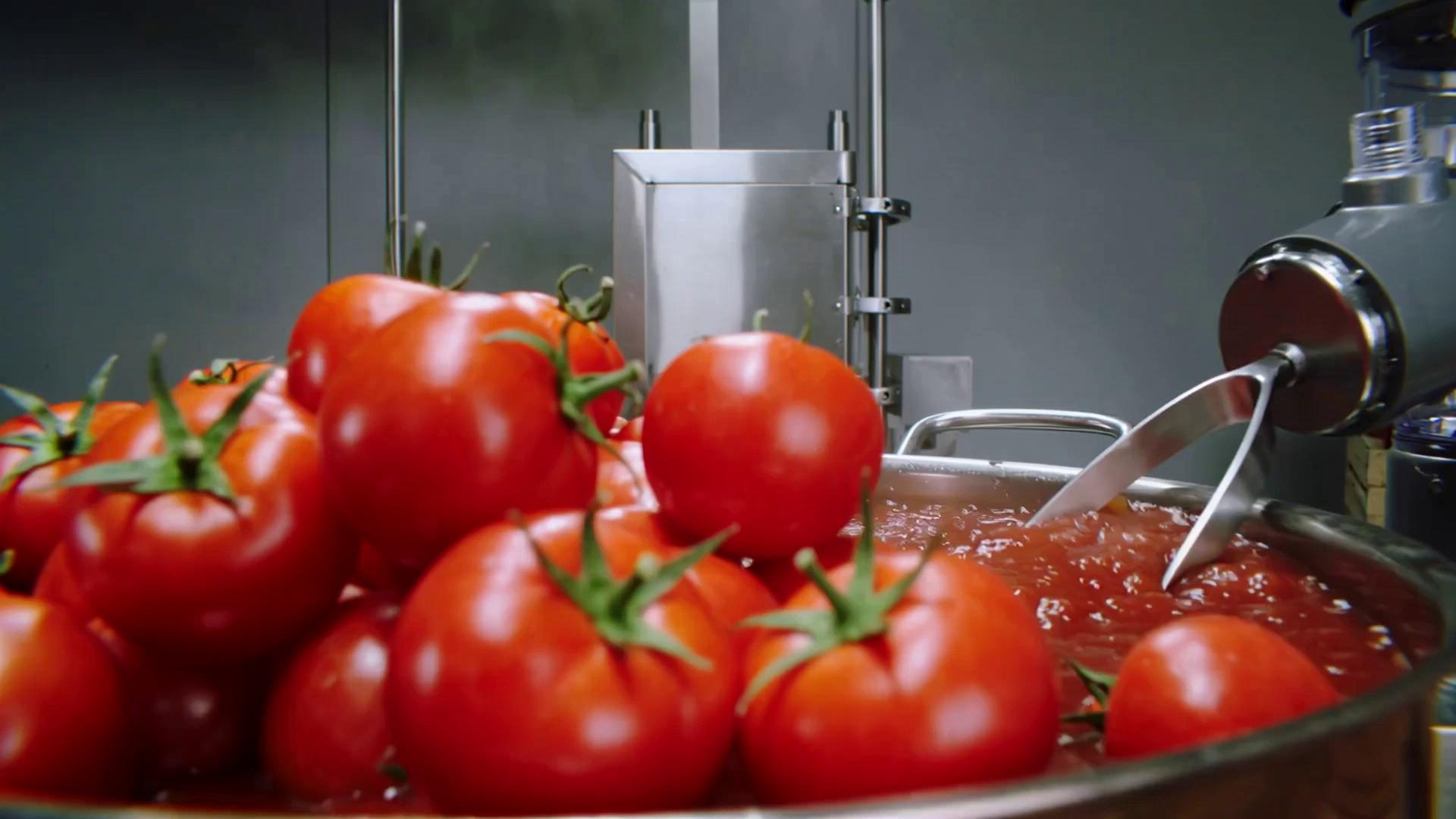 Prompt: tomato ketchup in making from Tomatos