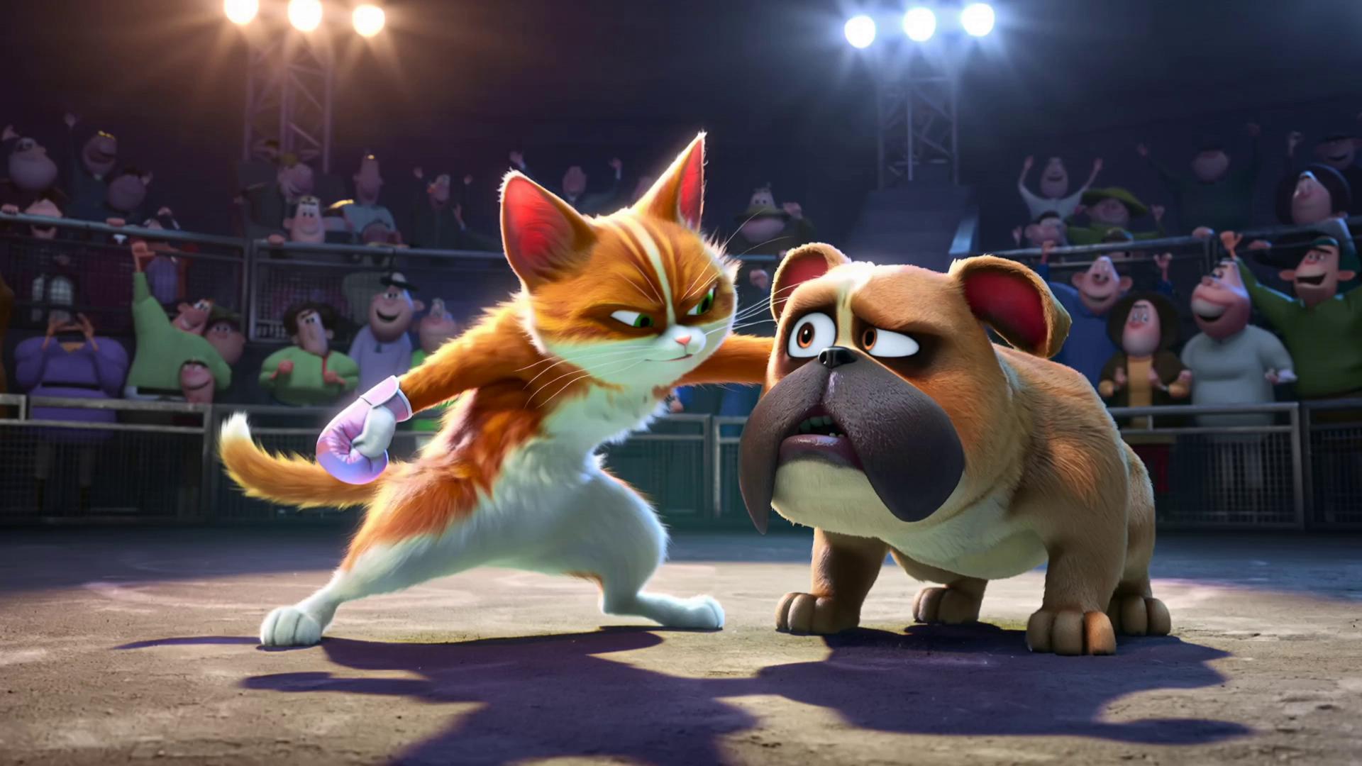 Prompt: A 3d video of a cat boxing a dog in a boxing right. The cat knocks the dog out.