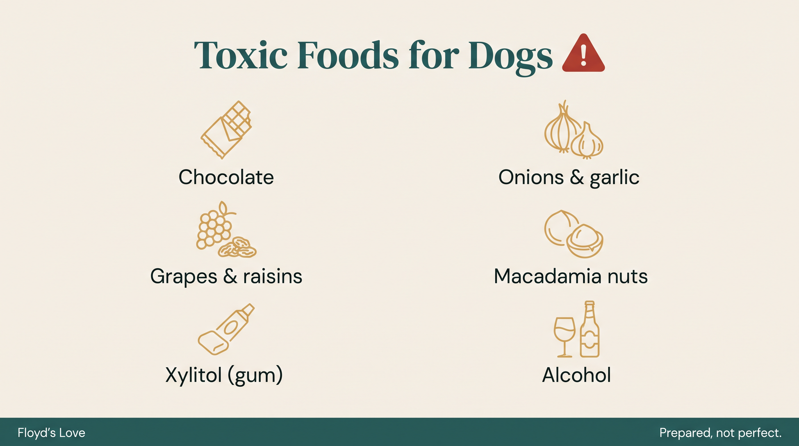Toxic Foods & Home Safety