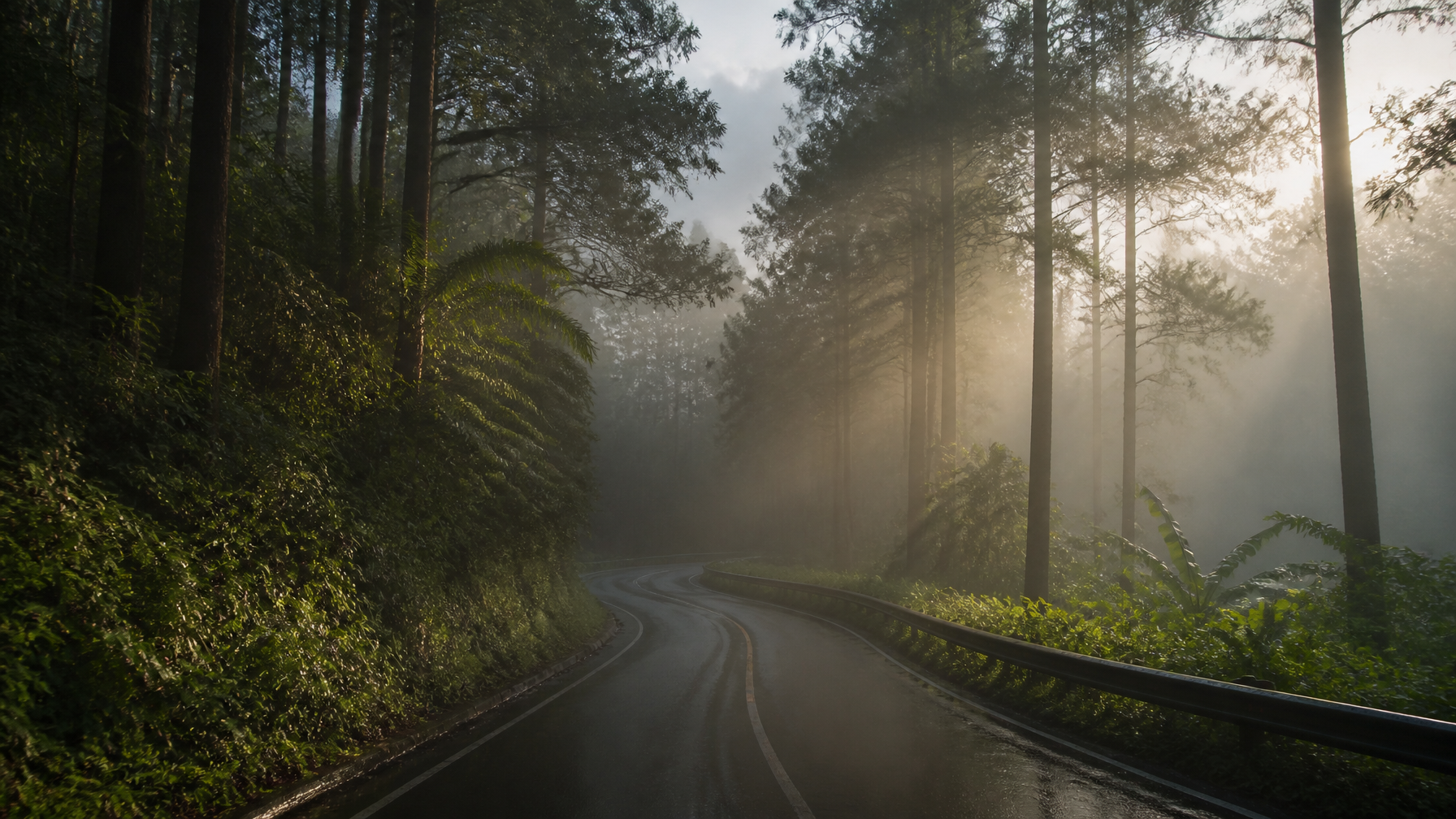 A cinematic wide landscape photography of a winding mountain asphalt road through dense tropical pin