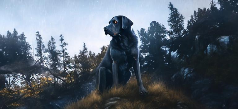 Prompt: Muscular, alert dog with hunter eyes in mountain night, natural medium,  ultra-detailed, realistic, cool tones, atmospheric mountain night, detailed eyes, sleek design, professional, atmospheric lighting Midnight, Stars moonlight