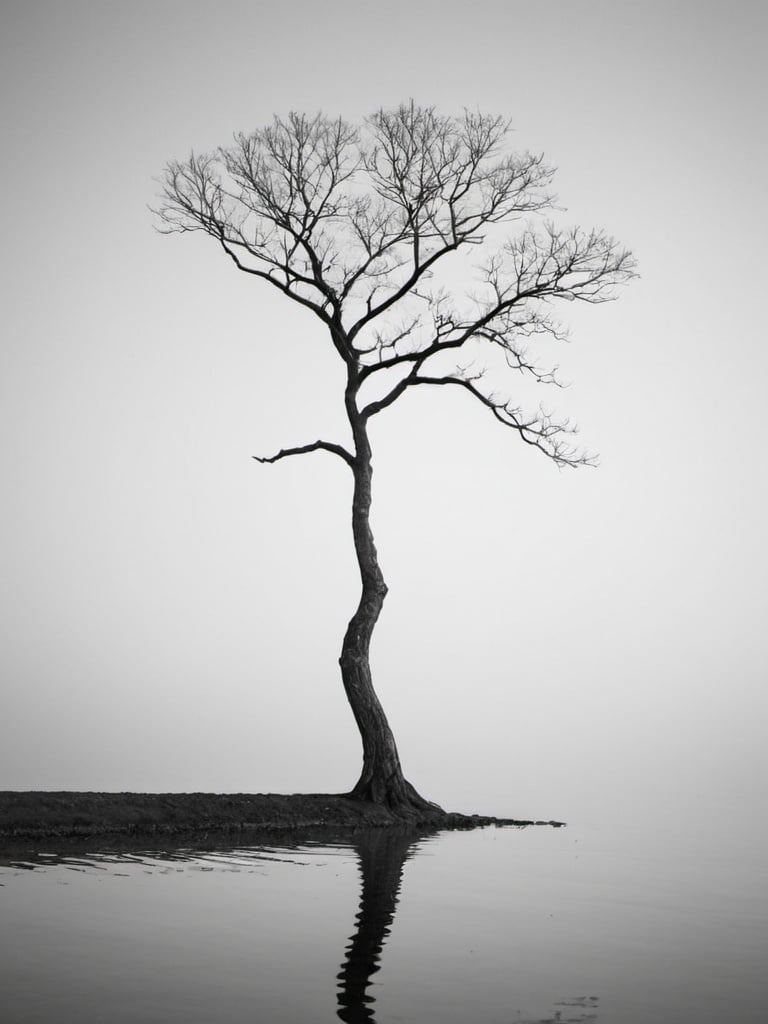 Prompt: photograph of tree, black and whitie