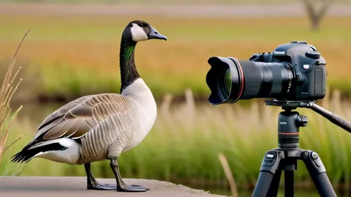 Prompt: (photorealistic) scene of a (goose using wings) to operate a camera on a tripod, the goose is standing on two flippers upright, capturing other birds in the distance, vibrant colors of a serene natural landscape, lush greenery surrounding the area, dynamic interplay of light and shadows, highlighting the charming curiosity of the goose, ultra-detailed, crisp focus on the intricate feather patterns and camera equipment.