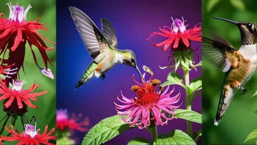 Prompt: photorealistic, (ruby-throated hummingbird) sipping nectar from a vibrant (bee balm flower), (monarch butterfly) delicately perched nearby on a blooming flower, (blue and green dragonfly) soaring gracefully atop the frame, dynamic contrast, (dramatic and captivating lighting), lush green background filled with a variety of radiant flowers, ultra-detailed, immersive atmosphere, nature's vibrant colors in full bloom, enchanting scene full of life and beauty.