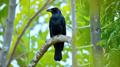 Prompt: A crow on the tree