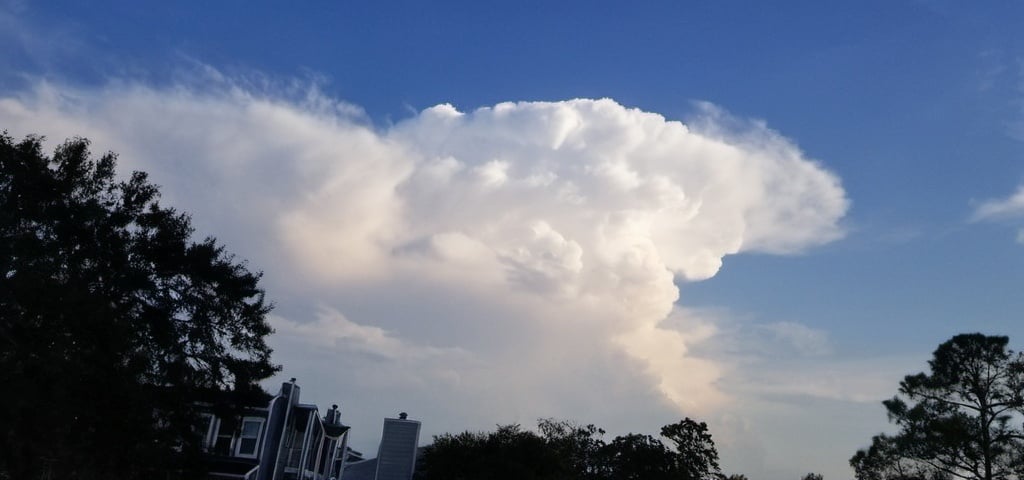 Prompt: a cumulonimbus cloud is seen in the sky over a city skyline with trees and buildings in the foreground and a blue sky, Steven M. Tilley, rococo, sky, a picture