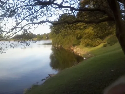 Prompt: a lake with a tree in the foreground and a grassy area in the background with a few rocks on the shore, Steven M Tilley, plein air, lake, a photo