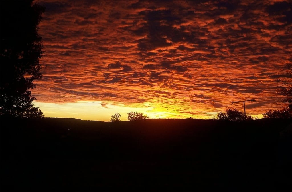 Prompt: a sunset with clouds and trees in the background and a sky filled with clouds in the foreground and a few trees in the foreground, 

Description	
English: Sunrise in upstate New York, United States
Español: Salida del sol en el estado de Nueva York, Estados Unidos
Français : Lever du soleil dans l'État de New York, États-Unis d'Amérique
Date	
4 January 2008 (original upload date)
(Original text: en:September, en:2007)
Source	Own work (Original text: self-made)
Author	
Thingg at English Wikipedia
(Original text: Thingg)

This work has been released into the public domain by its author, Thingg at English Wikipedia. This applies worldwide.
In some countries this may not be legally possible; if so:
Thingg grants anyone the right to use this work for any purpose, without any conditions, unless such conditions are required by law.