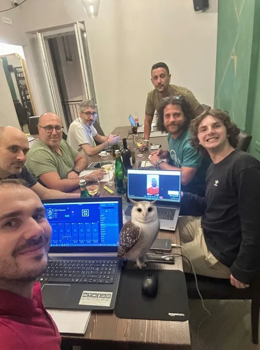 Prompt: Aggiungi un gufo delle nevi alla foto