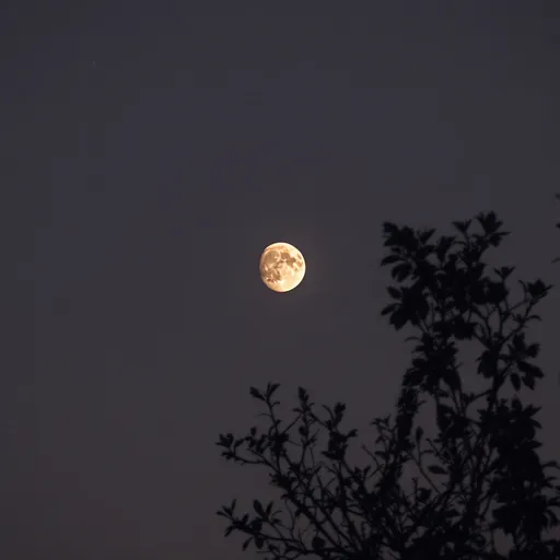 Prompt: Make a photo of a dark moon in the sky?