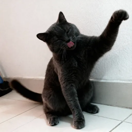 Prompt: mèo vẫy đuôi, chớp mắt, lắc đầu, lè lưỡi 