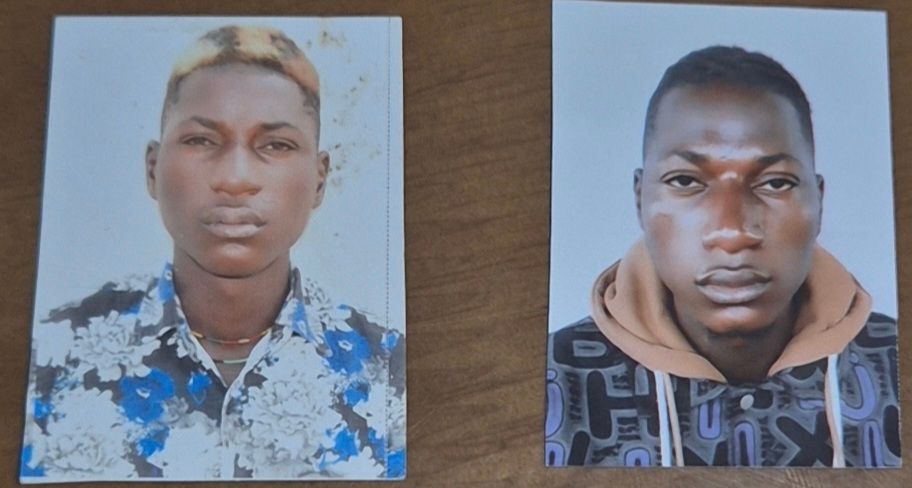 Prompt: Niger Passport and Visa Photos Printed and Guaranteed