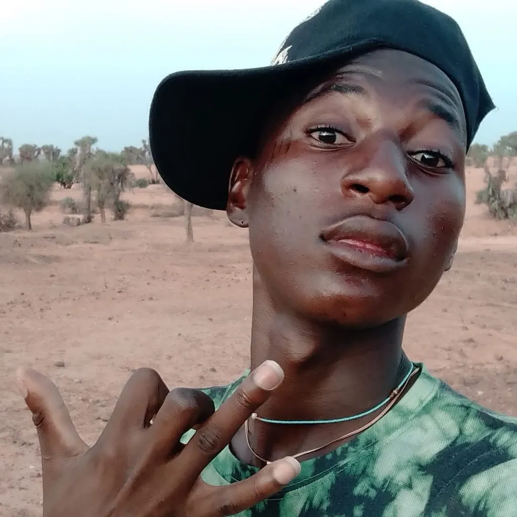 Prompt: Je recherche des témoignages sur la vie d'Ali Boubacar dans un village du Niger